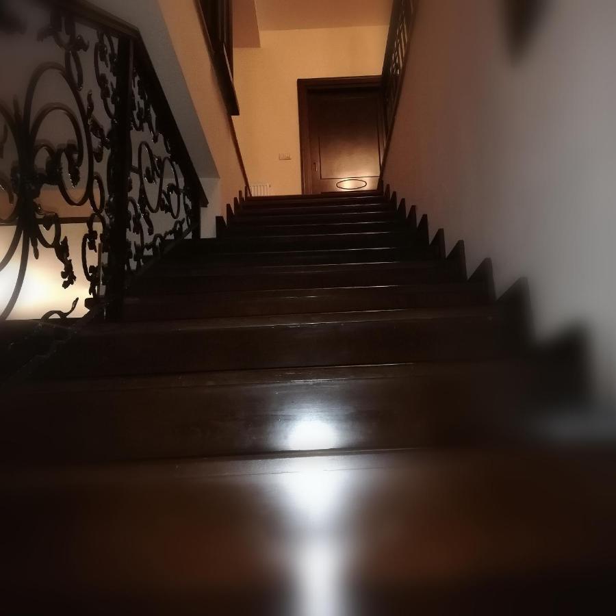 Apartmán Penthouse Renasterii Amazonia Temešvár Exteriér fotografie